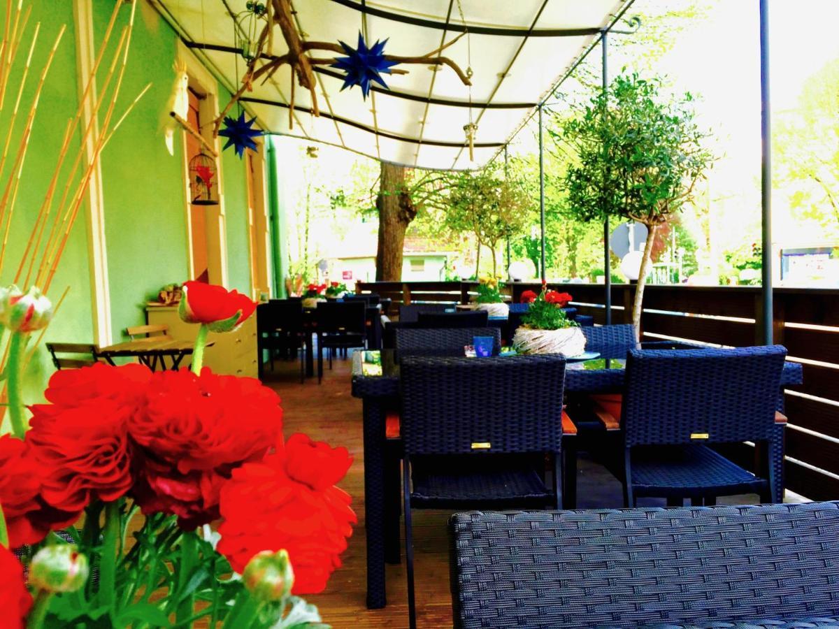 Zu Den Linden - Radebeul Pension Mit Restaurant Zewnętrze zdjęcie
