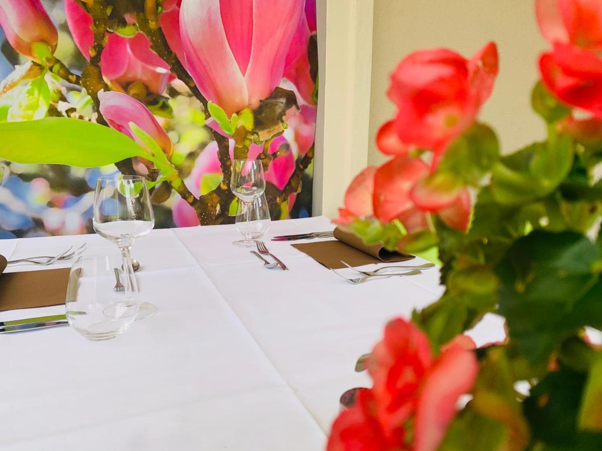 Zu Den Linden - Radebeul Pension Mit Restaurant Zewnętrze zdjęcie